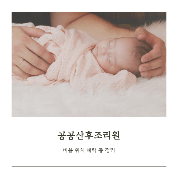 공공산후조리원