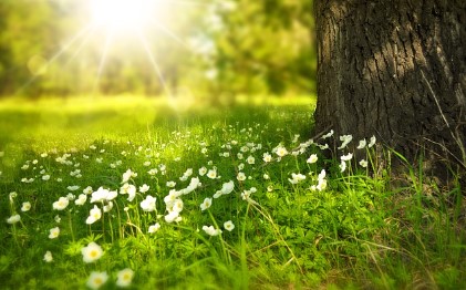 임영웅 광주 콘서트