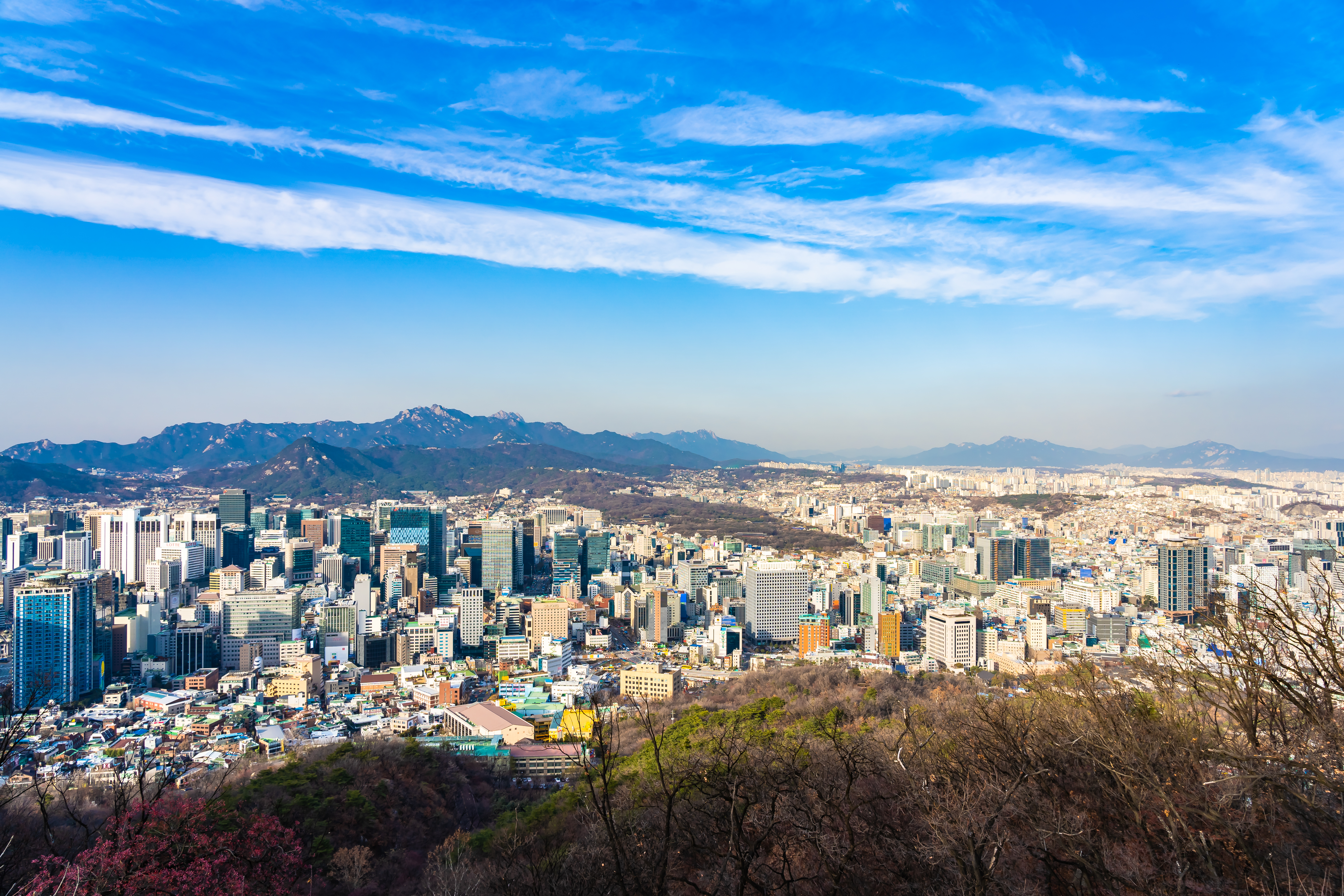 대전권 대학 취업 잘되는 학과
