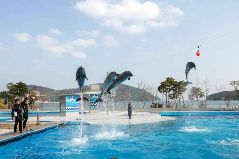 거제 씨월드