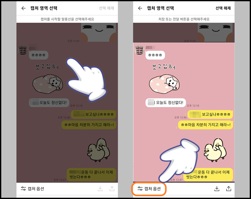 캡처 영역 지정 후 하단의 '캡처 옵션' 터치