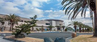 8월 제주도 가볼만한곳10곳