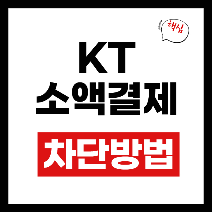 KT 소액결제