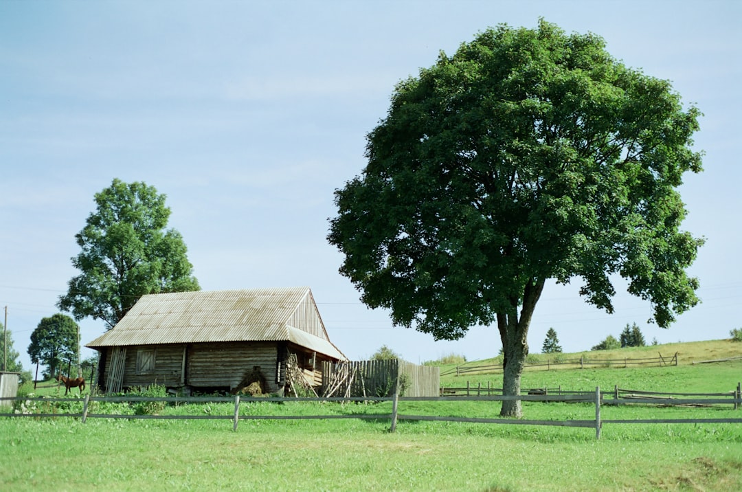 농지연금은 Agricultural Pension으로 번역됩니다. 가장 중요한 명사는 Pension입니다.