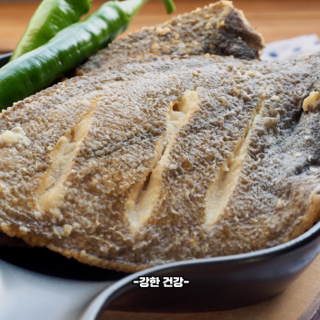 넙치 효능
