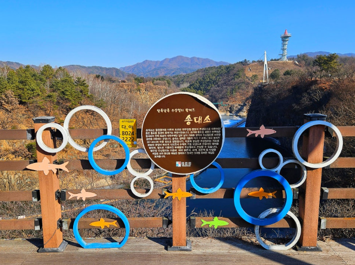 송대소