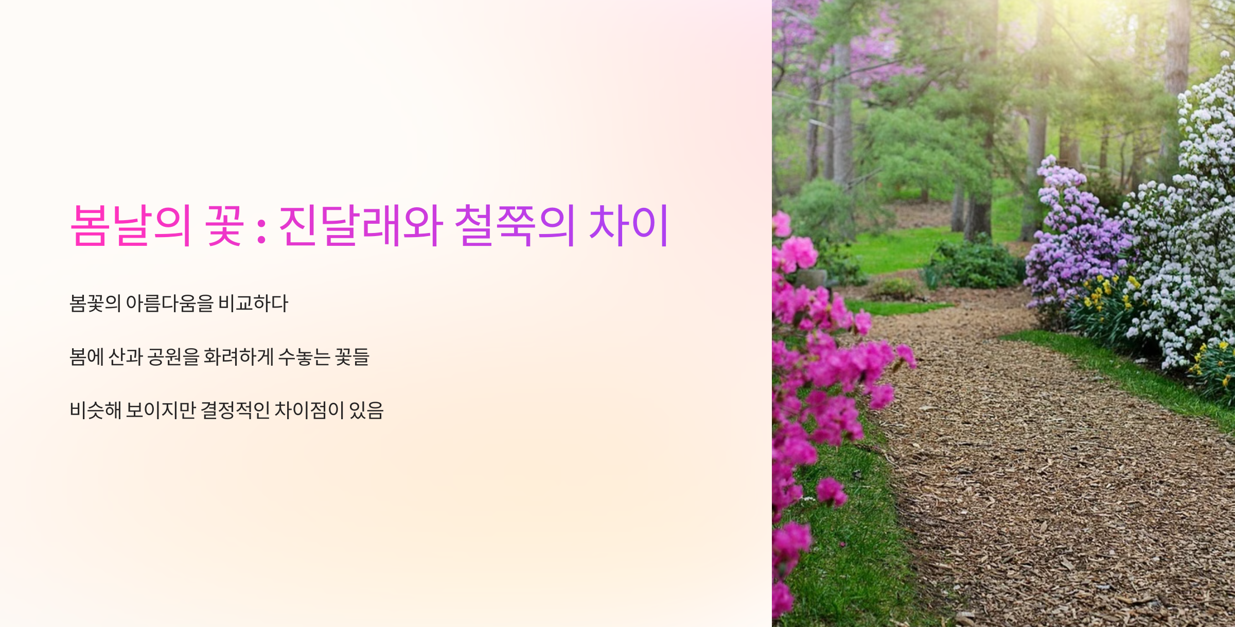 진달래와 철쭉