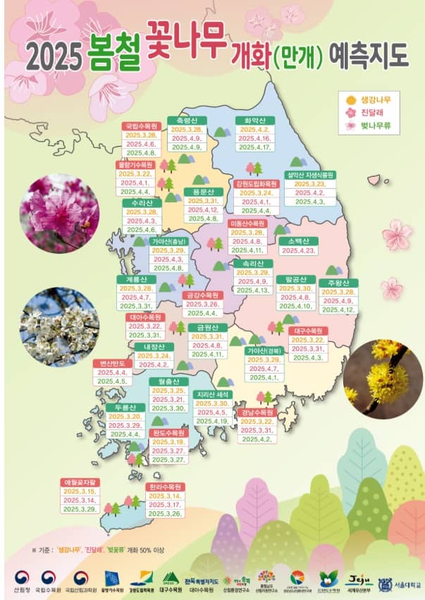 봄철 꽃나무 지도