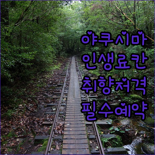 야쿠시마 호텔 료칸 예약 가이드와 취..