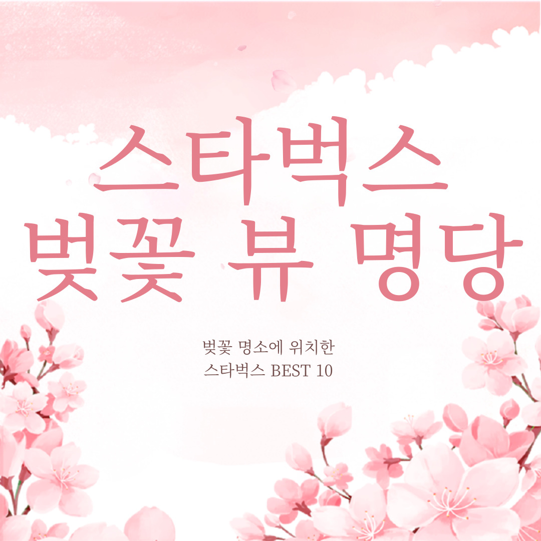 스타벅스 벚꽃 뷰 명당