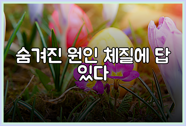 숨겨진 원인 체질에 답 있다