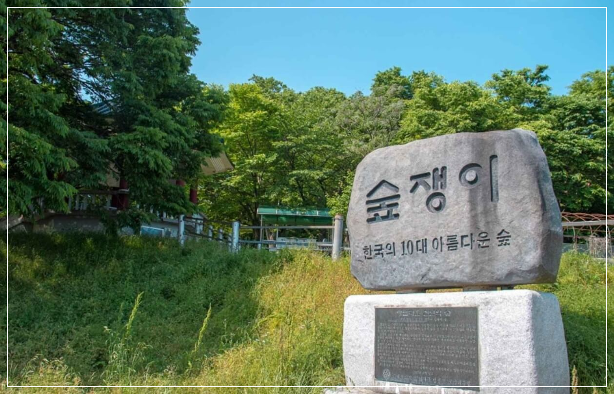 영광 가볼만한곳 베스트10 숲쟁이공원