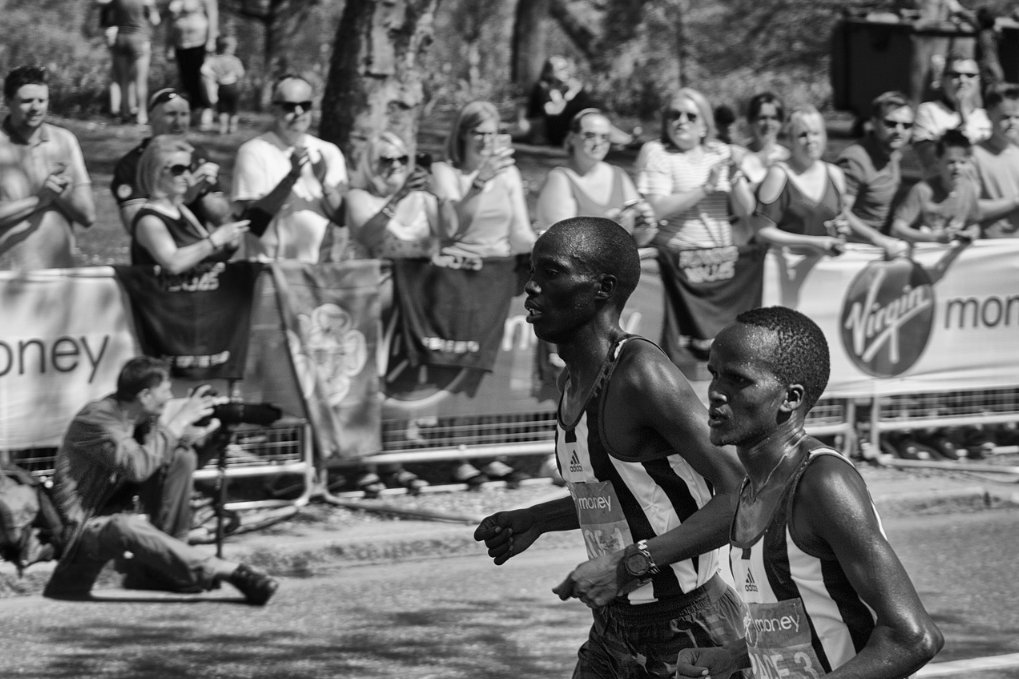 2025 람사르습지 밤섬런