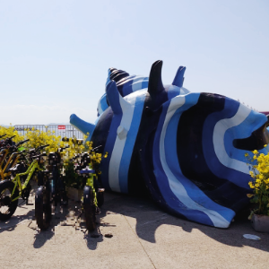 우도 소라 축제