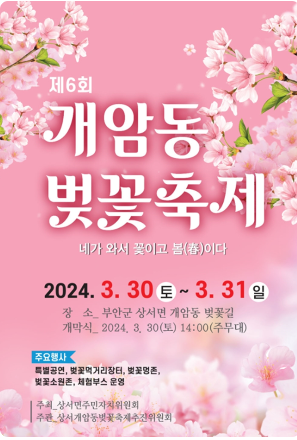 개암동벚꽃축제