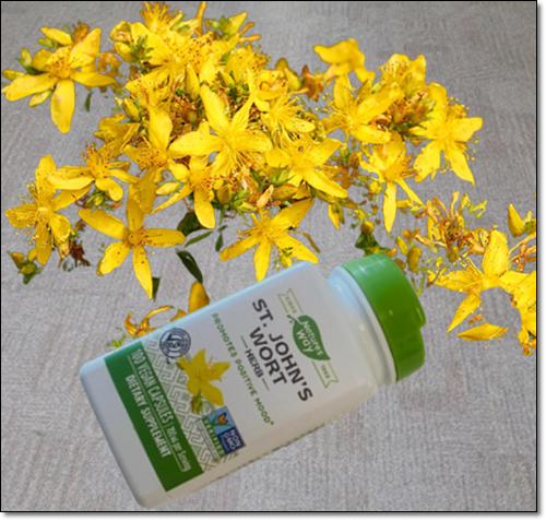 세인트존스워트 영양제