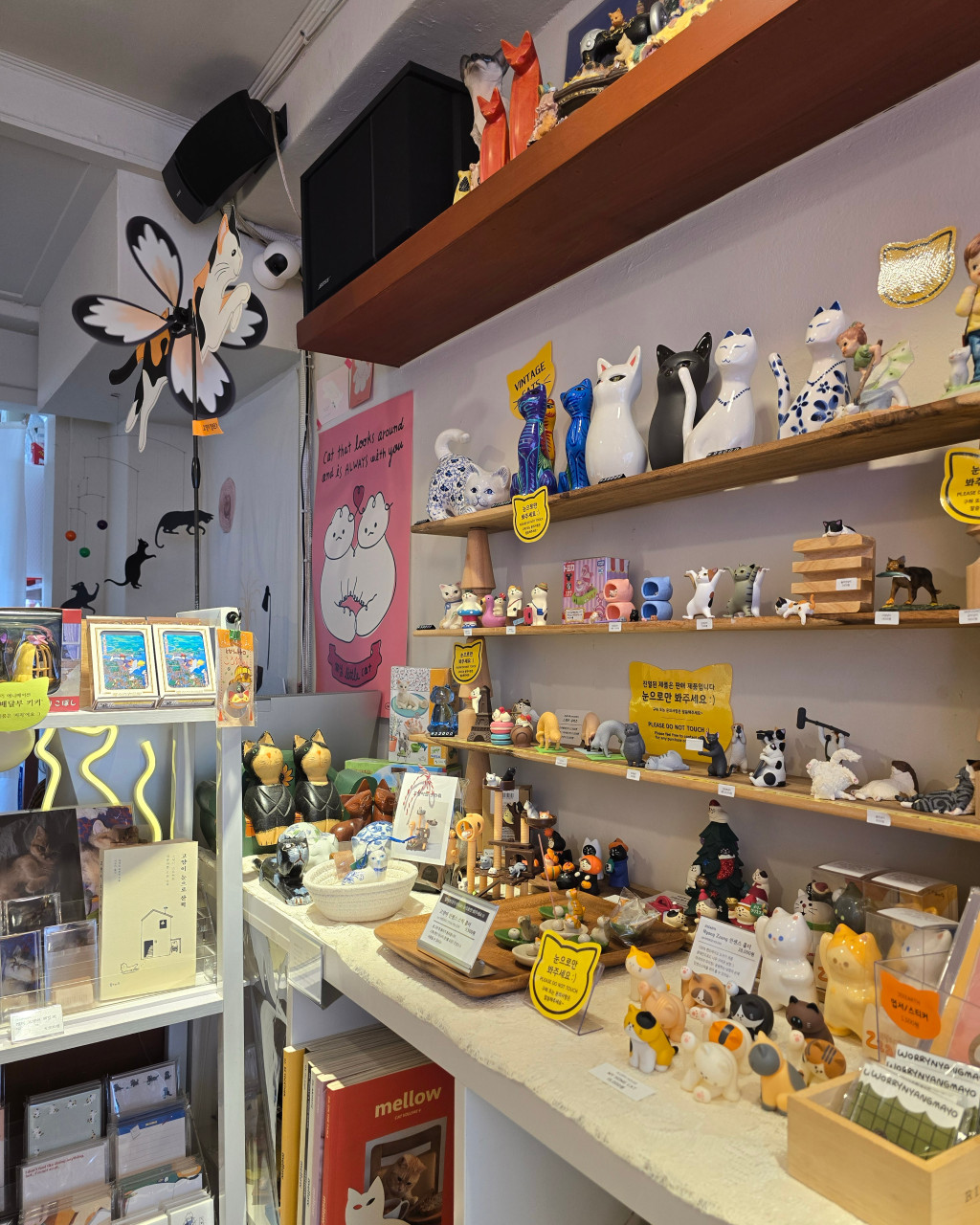 고양이알레르기