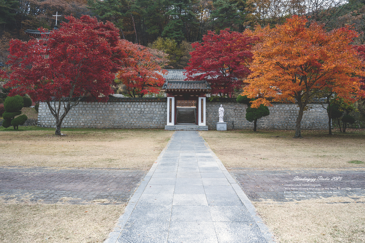 #가톨릭 #성지 #배론 #배론성지 #단풍 #가을