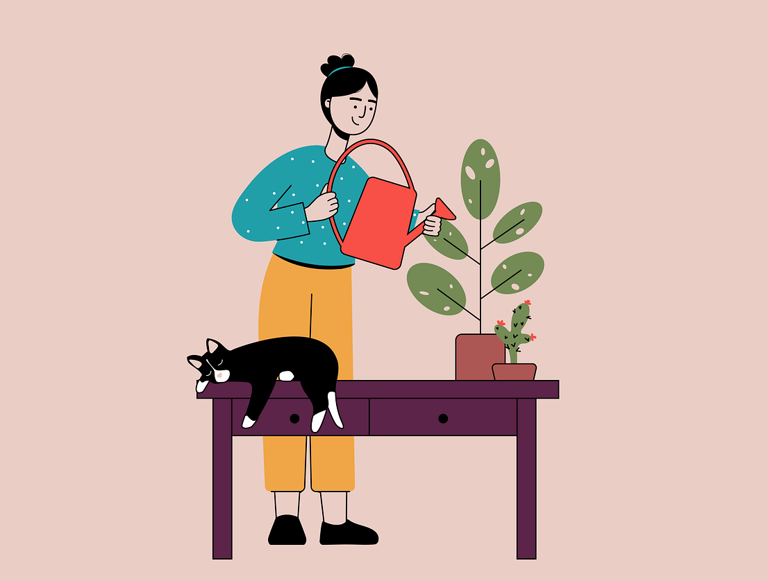 고양이 분리불안 이해하기