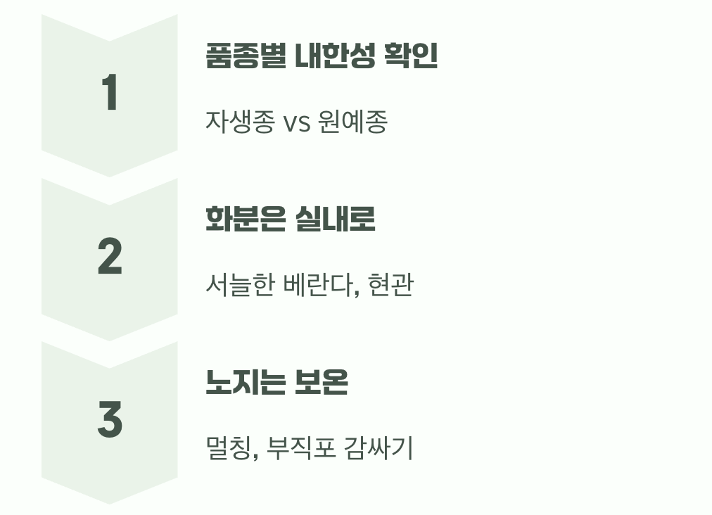 비결 5. 추운 겨울을 이겨내는 법&amp;#44; &amp;#39;월동&amp;#39;