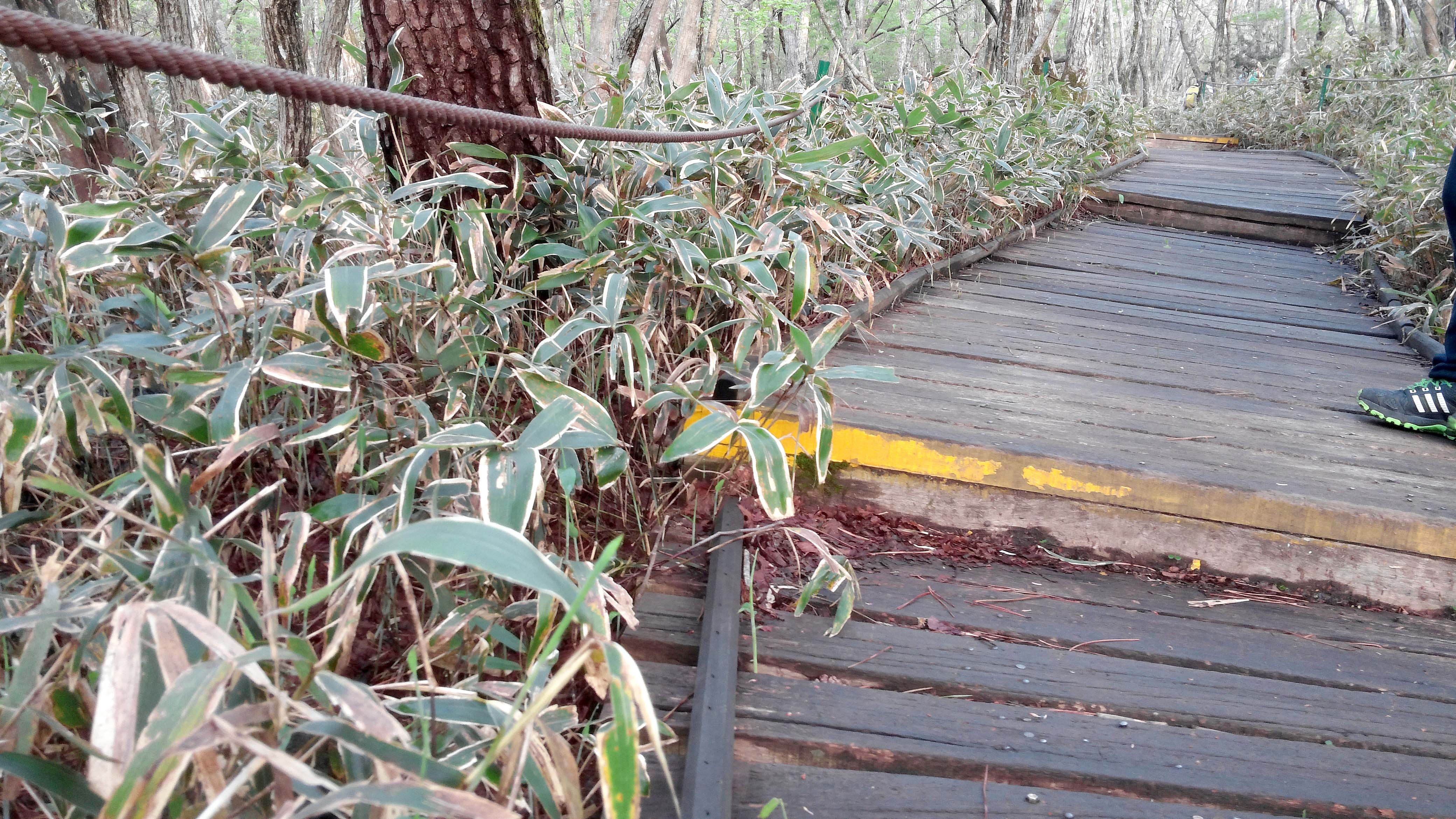 한라산 성판악코스