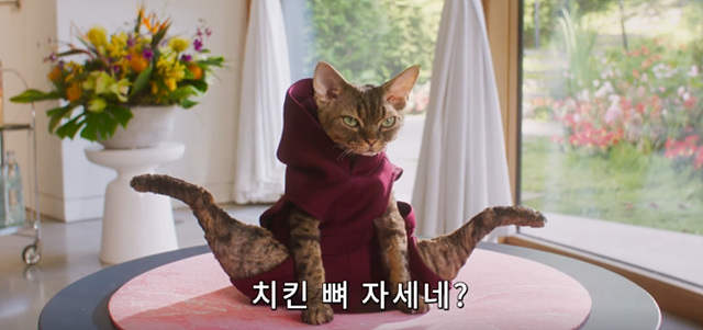 영화 개비의 매직하우스 극장판 쿠키영상 줄거리 관람후기- 꿀잼