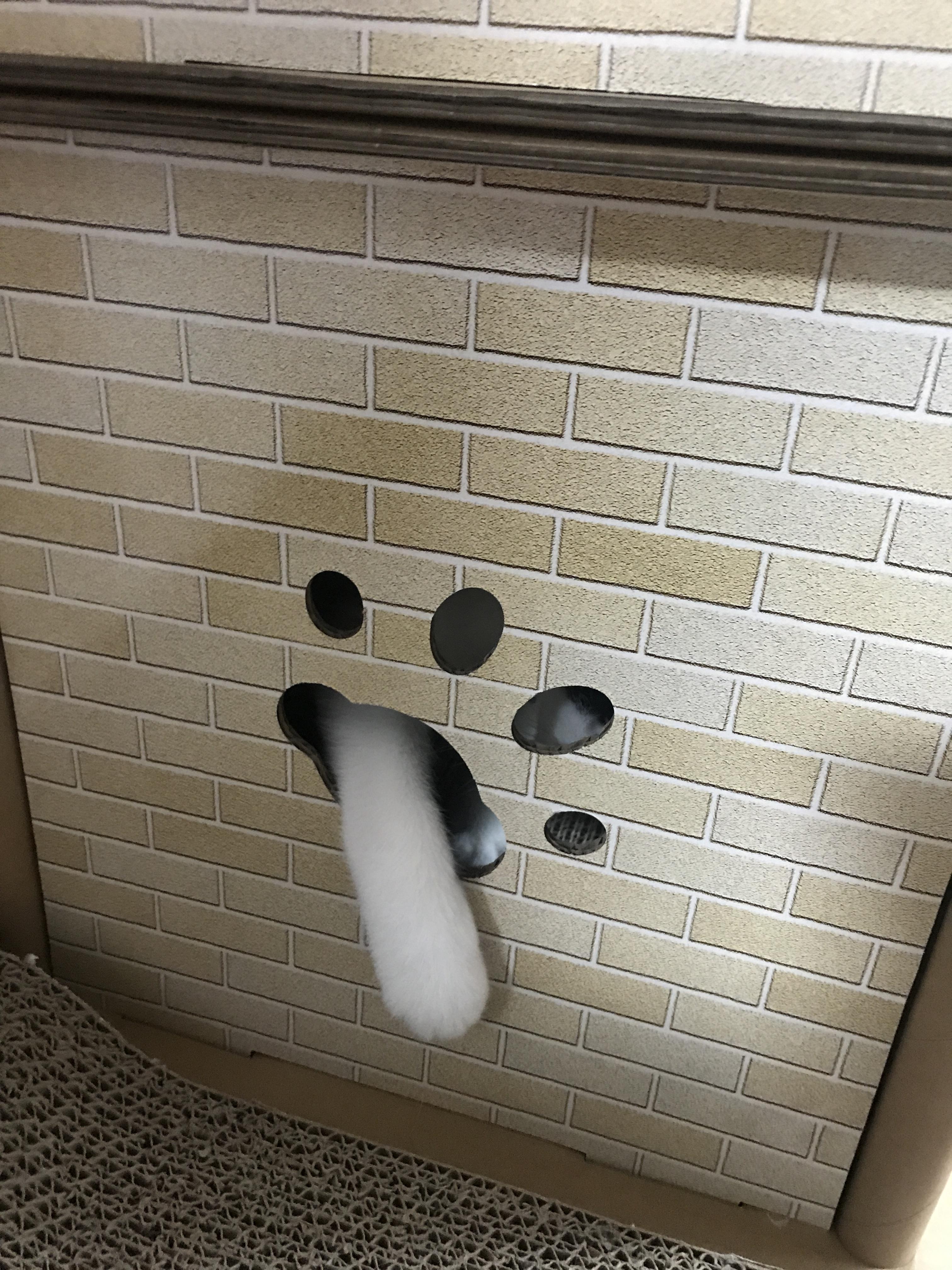 alt 태그