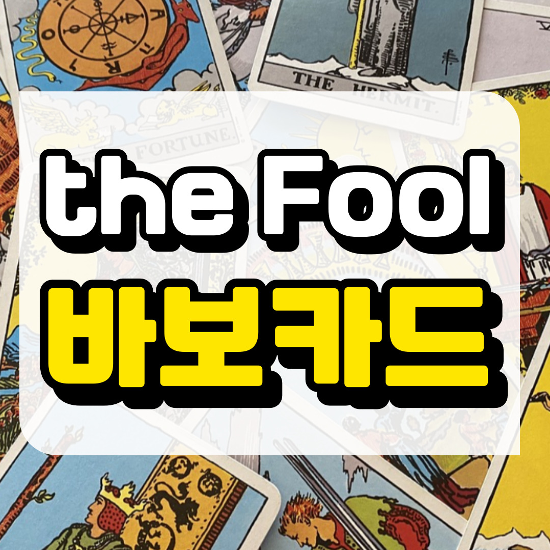 바보카드의 의미와 해석에 관련된 사진