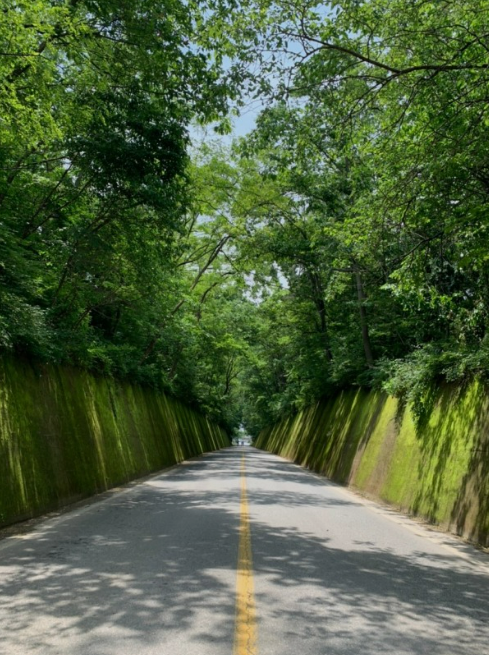 단양 가볼만한 곳