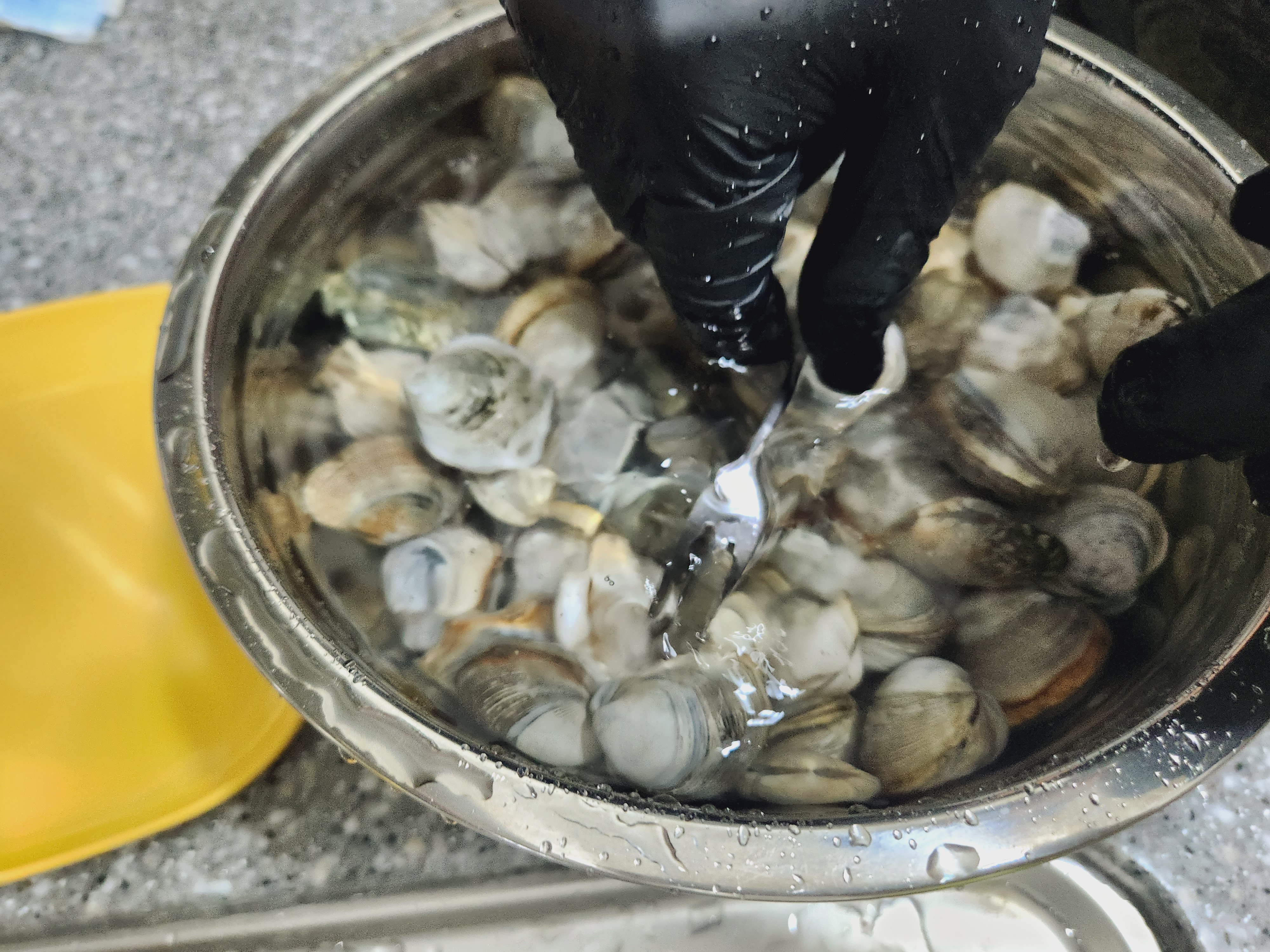 조개 바지락 꼬막 해감하는 방법 해감시간, 조개 요리 모음