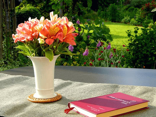 야외 탁자 위에 진분홍색 책이 있고 왼쪽에는 하얀 꽃병에 담긴 연분홍 꽃들이 있다.