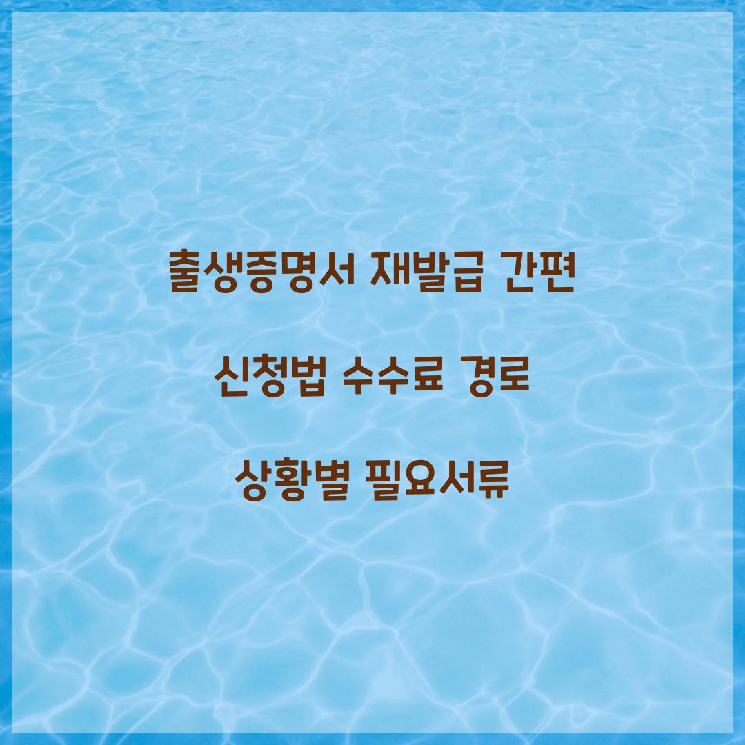 출생증명서 재발급