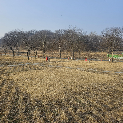 목계솔밭_노지사이트