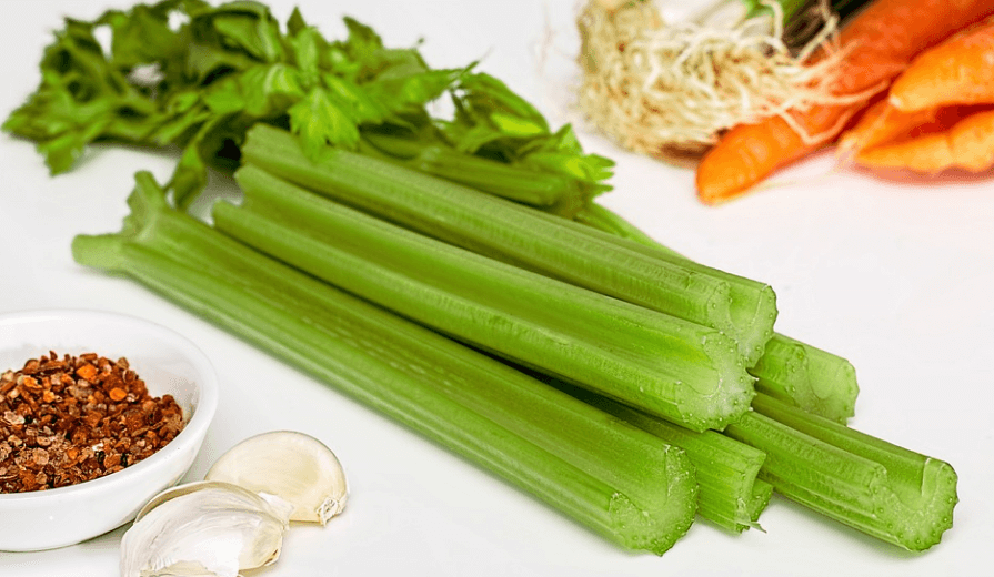 샐러리 효능 - 1