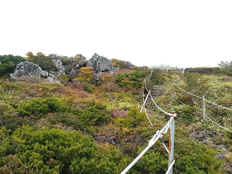 한라산 돈내코탐방로