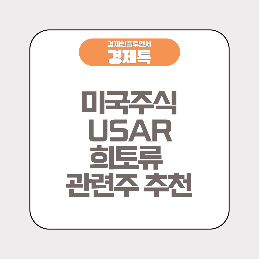 미국주식 USAR 희토류 관련주 추천