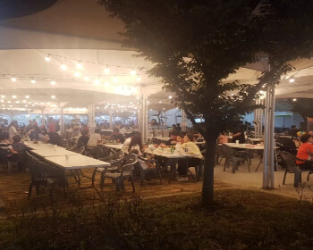 영동포도축제_8