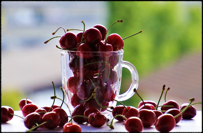 최신 트렌드! 성장기 간편식 구성법 (도시락, 간식, 단백질 쉐이크)