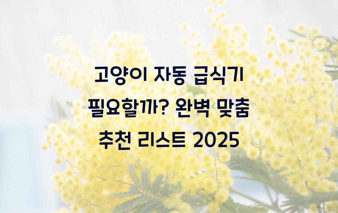 고양이 자동 급식기 필요할까? 맞춤형 추천 리스트 공개