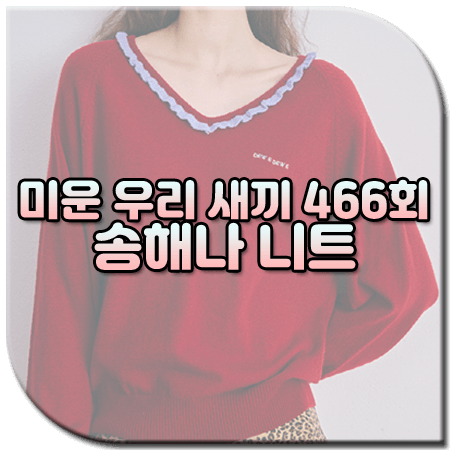 미운 우리 새끼 466회 송해나 니트