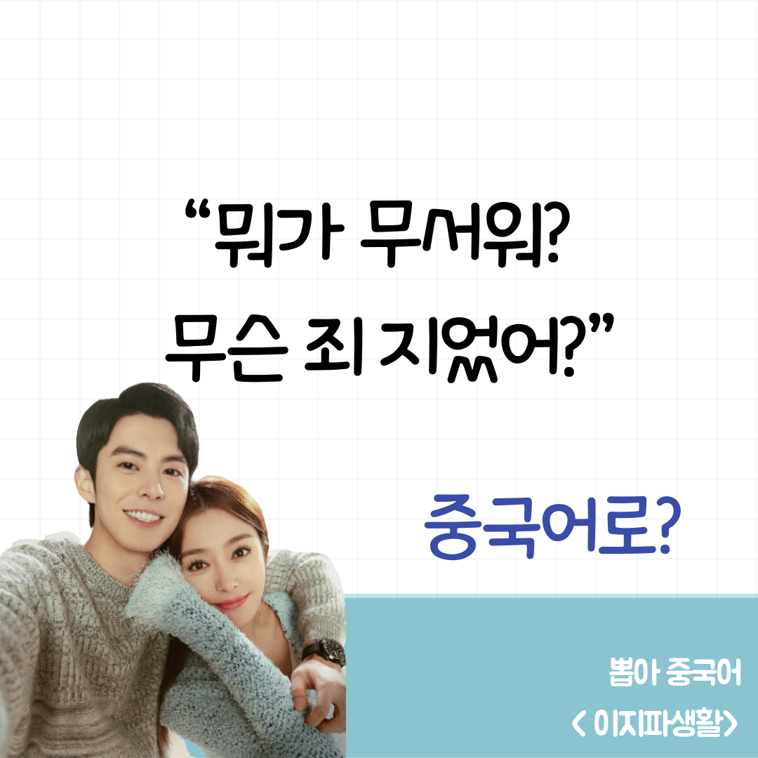 이지파생활