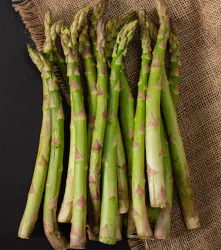 신장에 좋은 음식