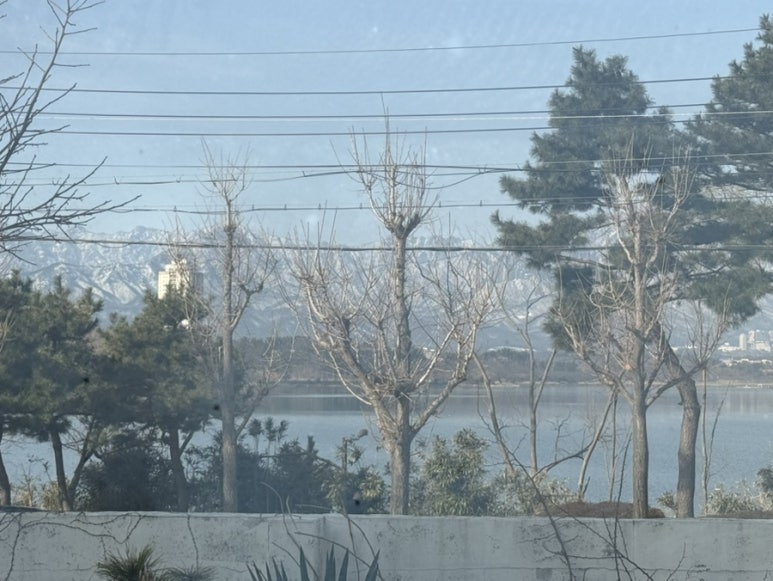 무용가 전망
