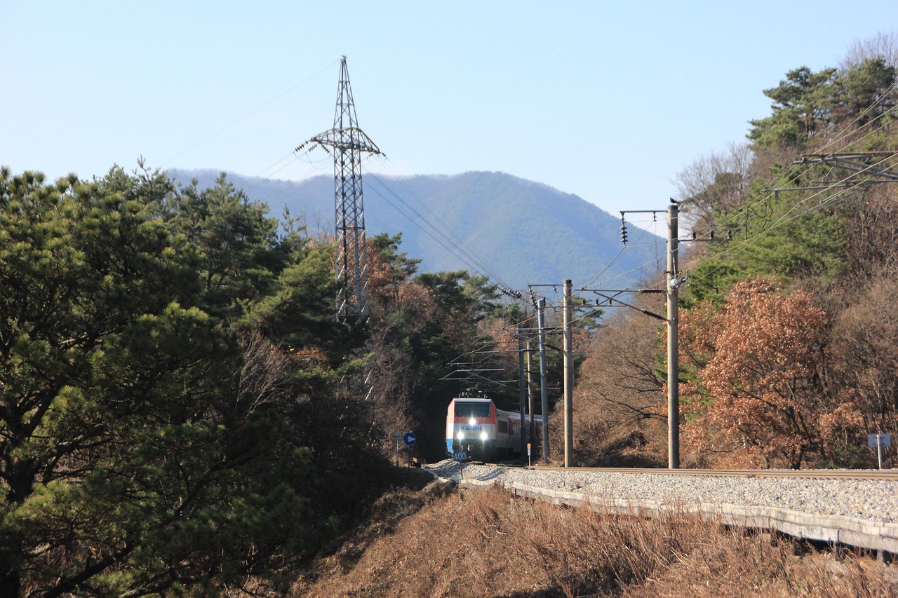 [2025 최신] 6월 1일 무궁화호 장항선 시간표&middot;요금 총정리! 꼭 확인해야 할 변경사항