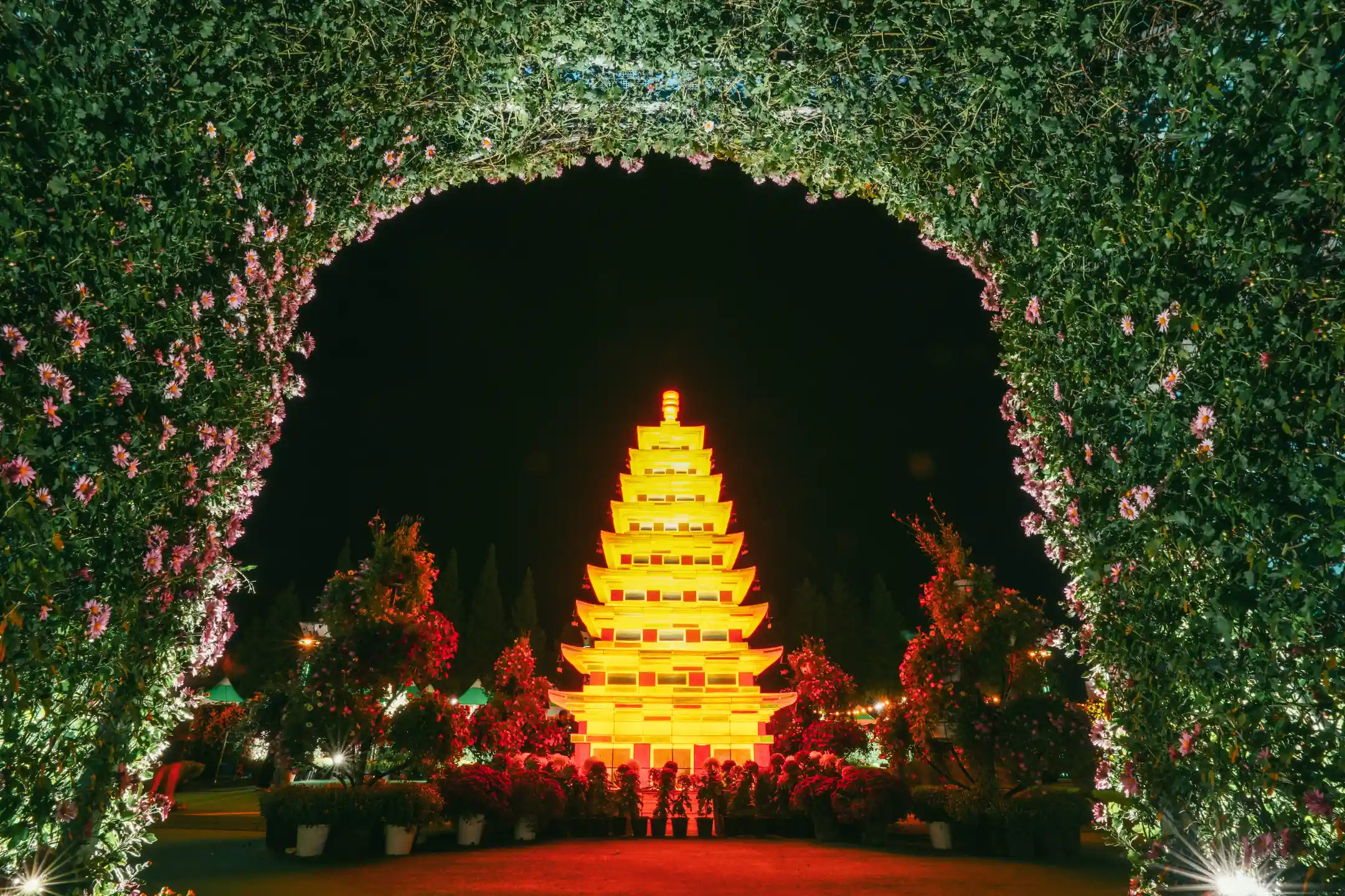 황홀한 야간 빛 조명