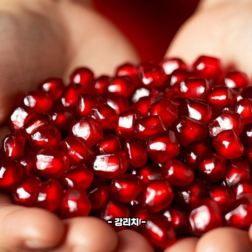 석류씨 먹어도 되나요