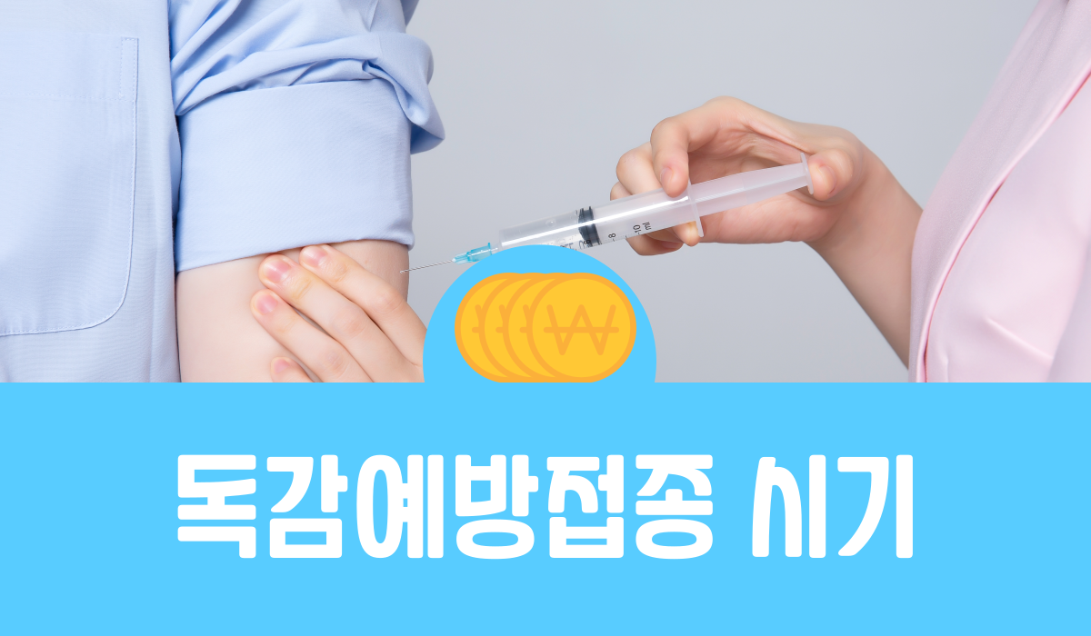 독감 예방접종 시기