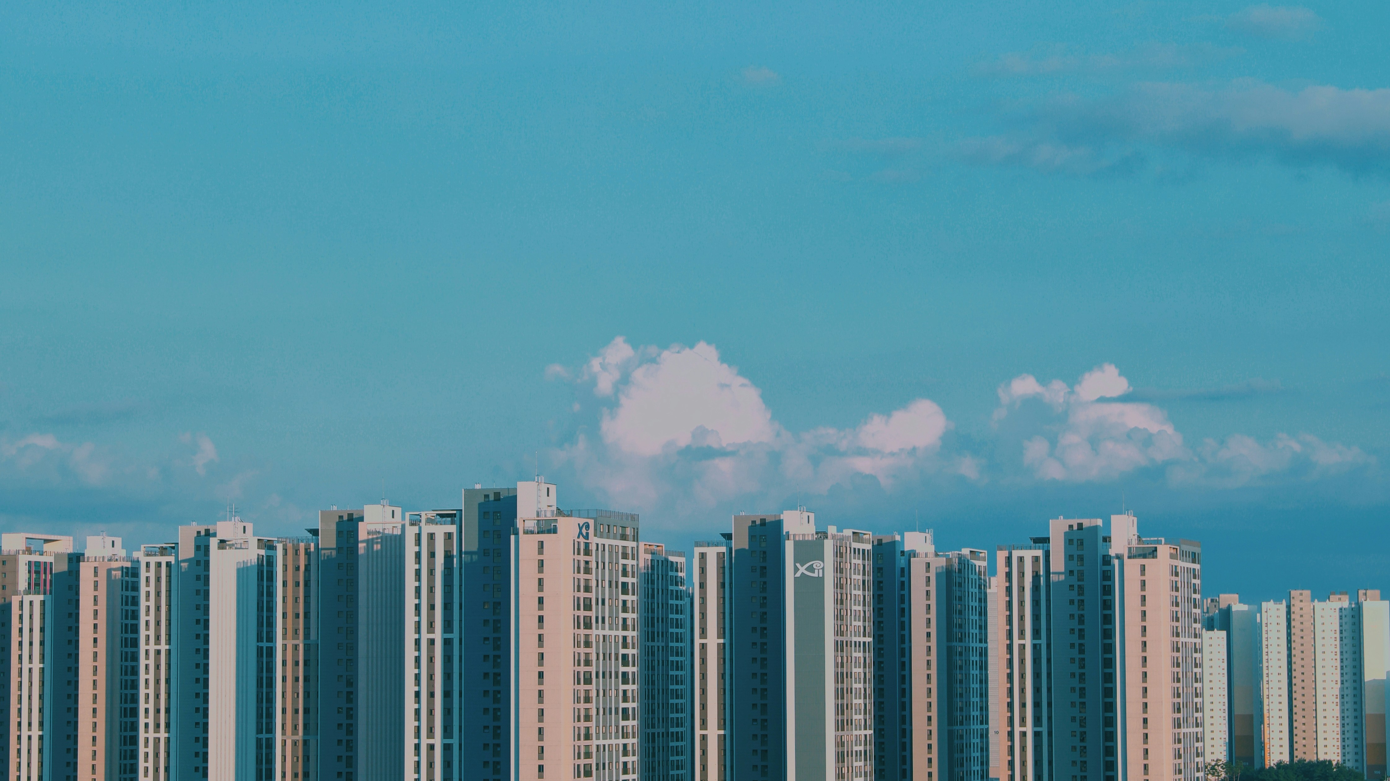 공공임대주택 신청