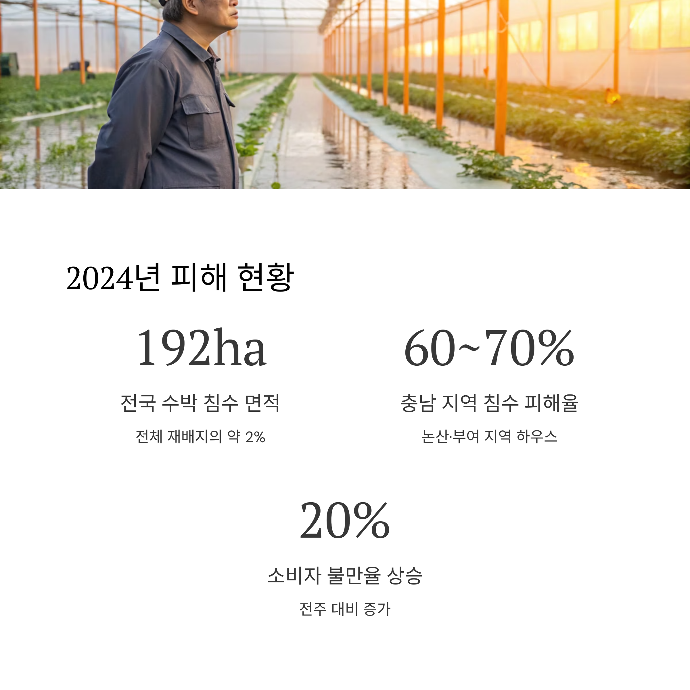 2024년 피해 현황