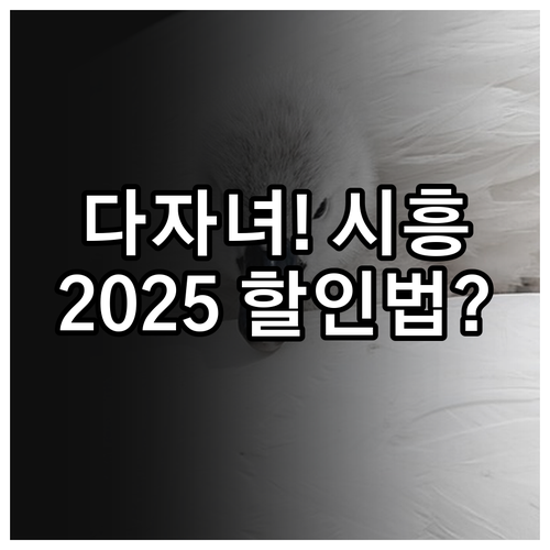 다자녀 모범납세자 2025년 시흥 주..